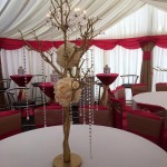 party marquee hire